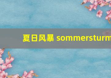 夏日风暴 sommersturm